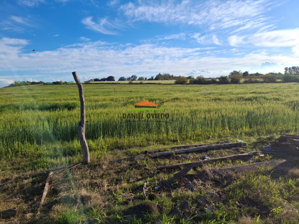 Chacra ID.423/🌿- - 🌿 ¡TU REFUGIO DE TRANQUILIDAD EN CARMELO! 🏡✨