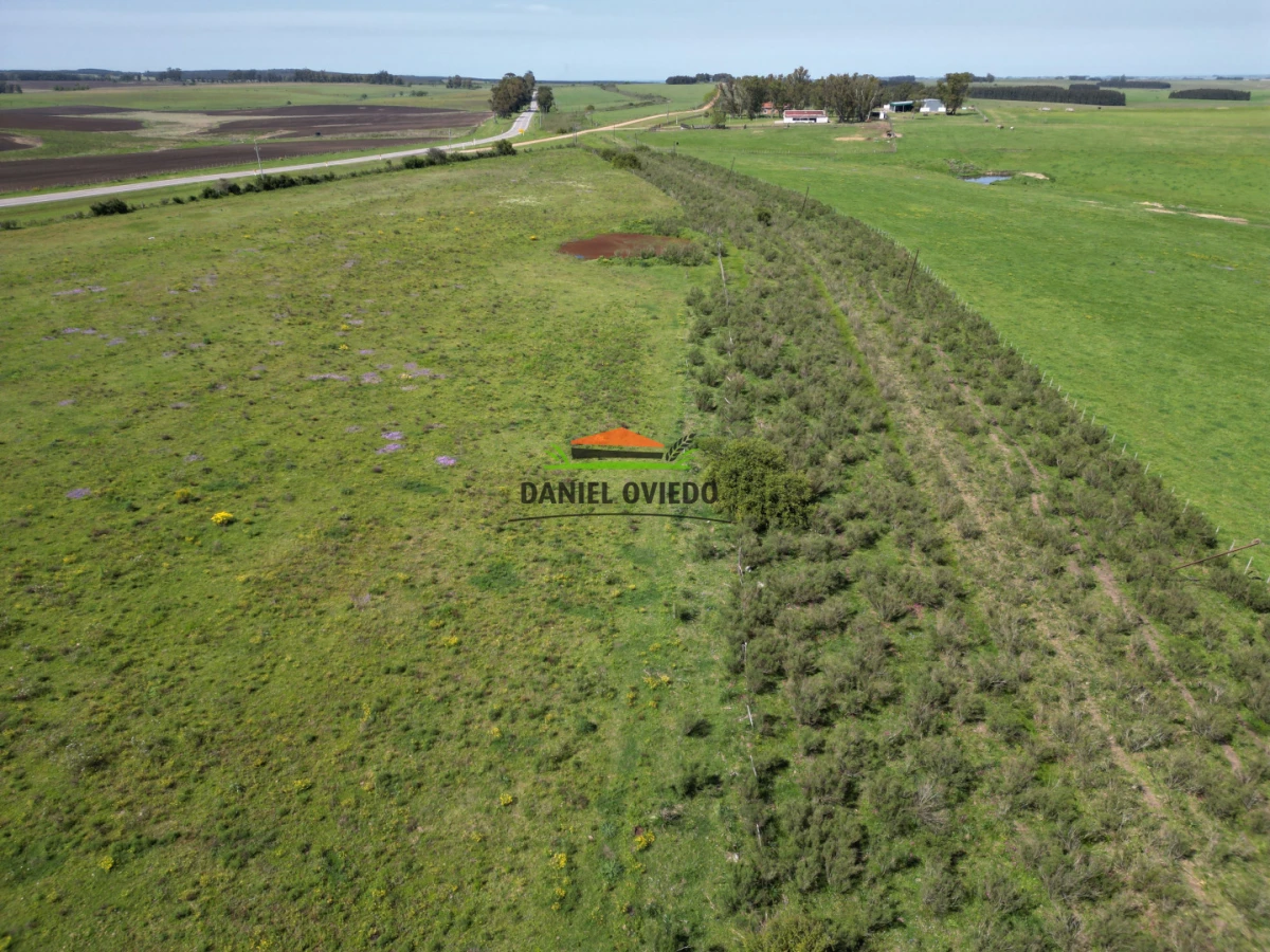 Chacra ID.282/Inmejorable-punto-sobre-Ruta-23---Chacra-lista-para-desarrollar - Inmejorable punto sobre Ruta 23 - Chacra lista para desarrollar