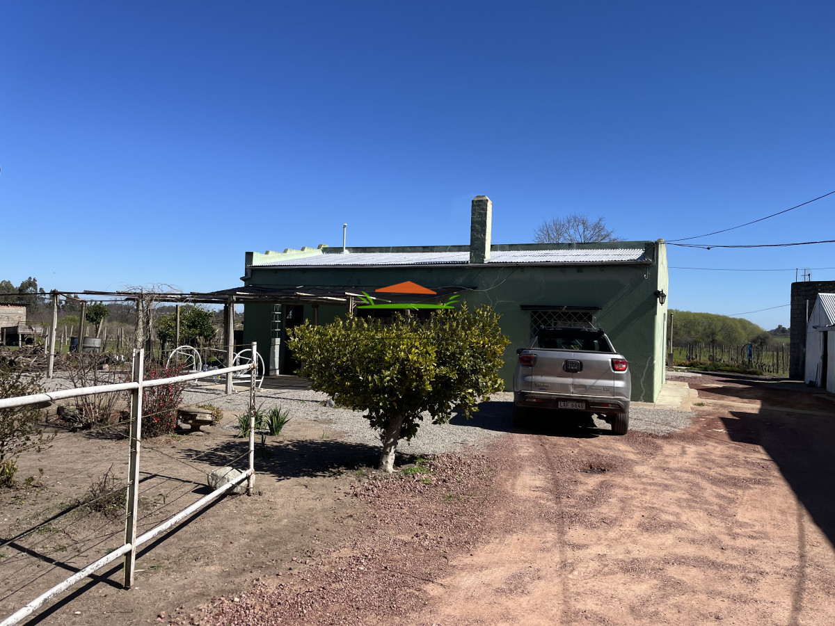 Chacra ID.255/Excelente-oportunidad-antigua-Bodega-y-viñedos-en-venta-en-Carmelo. - Excelente oportunidad antigua Bodega y viñedos en venta en Carmelo.