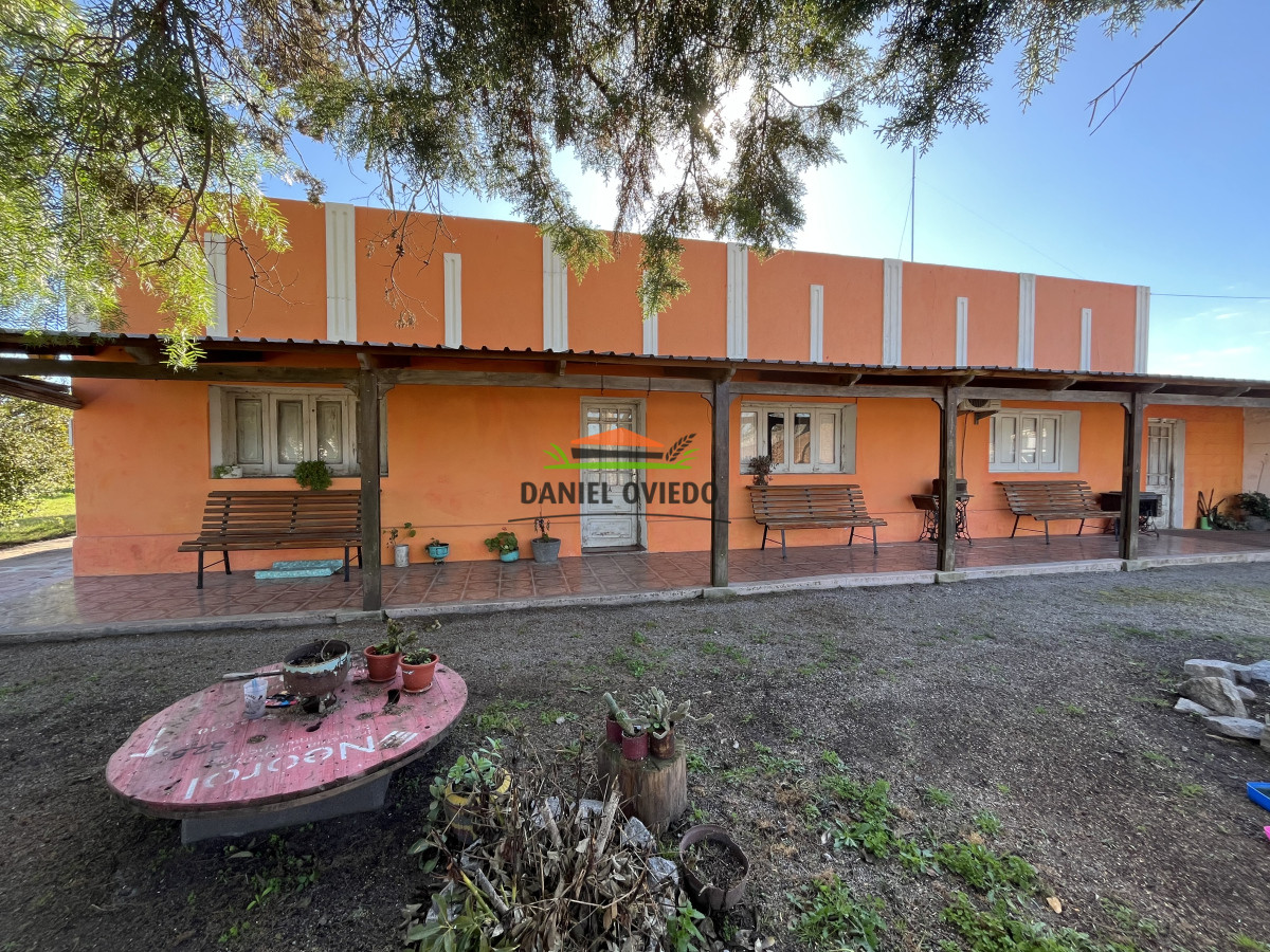 Chacra ID.240/Excelente-chacra-en-venta-con-3-casas-ubicada-a-5-km-de-Carmelo. - Excelente chacra en venta con 3 casas ubicada a 5 km de Carmelo.