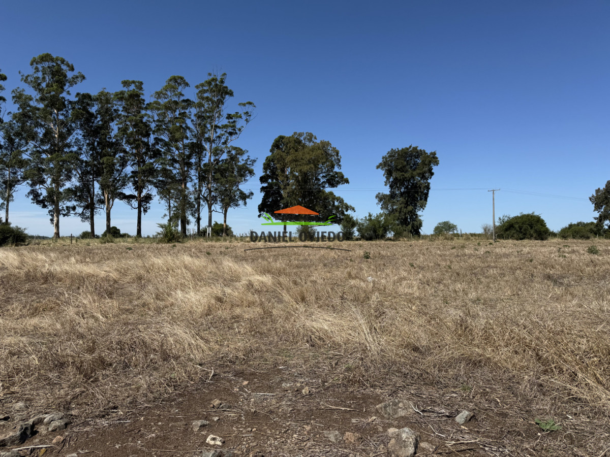 Chacra ID.337/Chacra-de-8-h - Chacra de 8 hás sobre Ruta 23 - San José