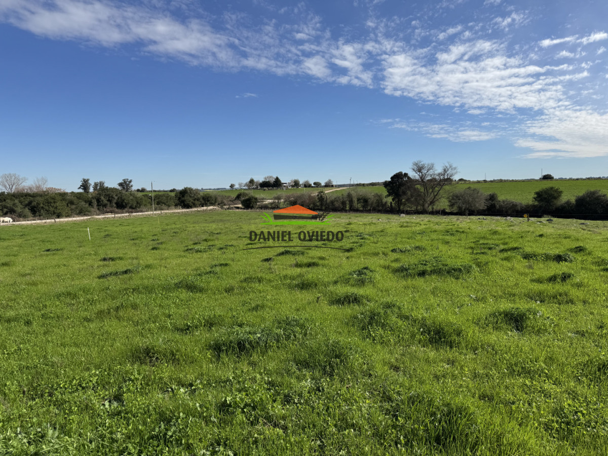 Chacra ID.403/Chacra-de-5,2-hect - Chacra de 5,2 hectáreas en venta próxima a Rosario - Colonia