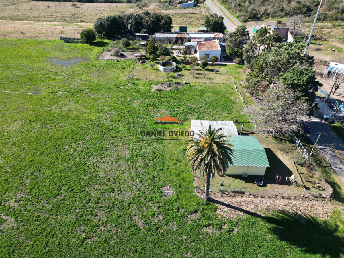 Chacra ID.240/Excelente-chacra-en-venta-con-3-casas-ubicada-a-5-km-de-Carmelo. - Excelente chacra en venta con 3 casas ubicada a 5 km de Carmelo.