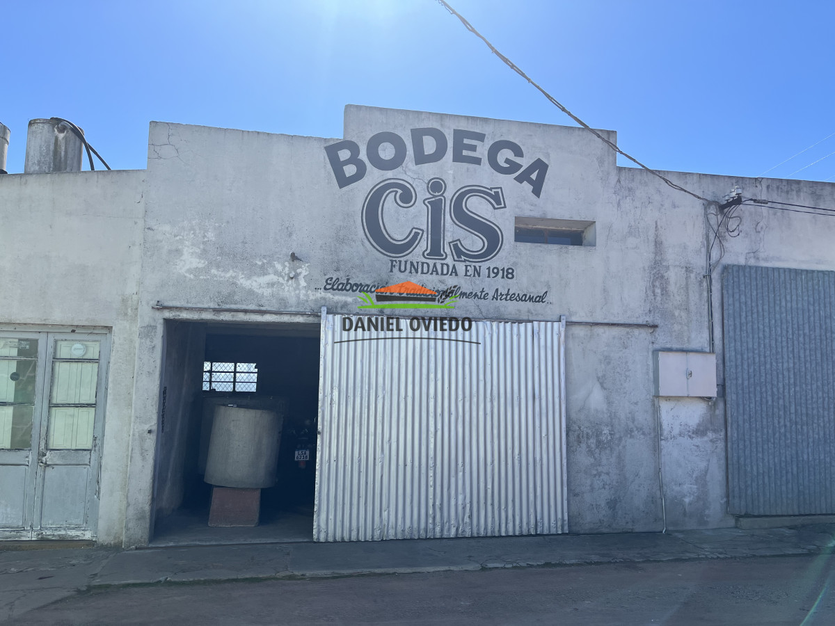 Chacra ID.255/Excelente-oportunidad-antigua-Bodega-y-viñedos-en-venta-en-Carmelo. - Excelente oportunidad antigua Bodega y viñedos en venta en Carmelo.