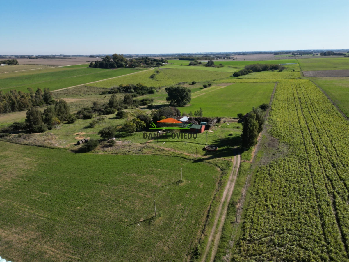 Chacra ID.385/Chacra-de-5-hect - Chacra de 5 hectáreas con casa y excelente ubicación cerca de Santa Regina