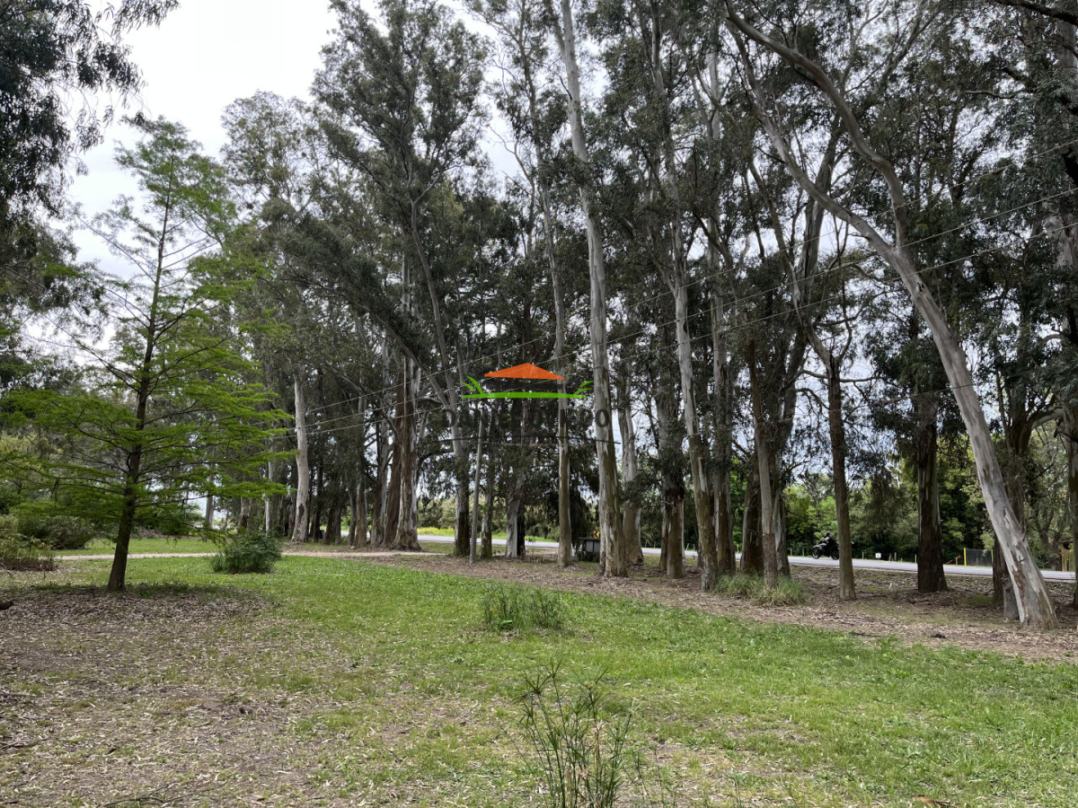 Chacra ID.286/Chacra-con-6-aptos-en-venta-muy-bien-ubicada-en-Colonia-Estrella-ruta-21. - Chacra con 6 aptos en venta muy bien ubicada en Colonia Estrella ruta 21.