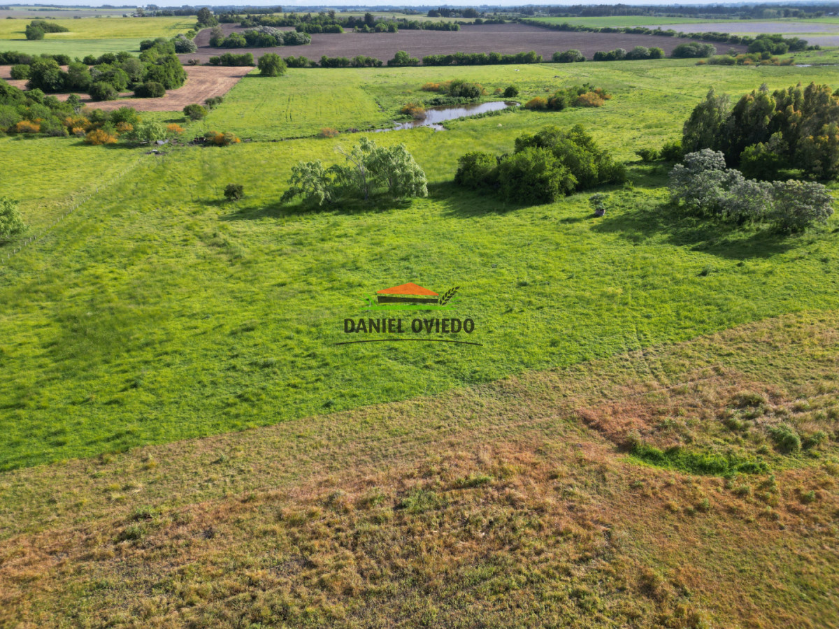 Chacra ID.283/Chacra-en-venta-sobre-Ruta-1-km-117---Inmejorable-ubicación - Chacra en venta sobre Ruta 1 km 117 - Inmejorable ubicación