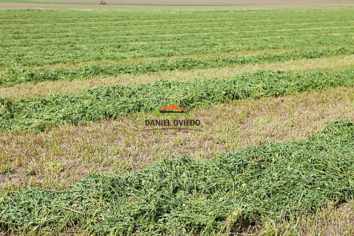 Chacra ID.353/Gran-oportunidad-chacra-en-venta-pr - Gran oportunidad chacra en venta próxima Pan de Azucar y ruta 9.