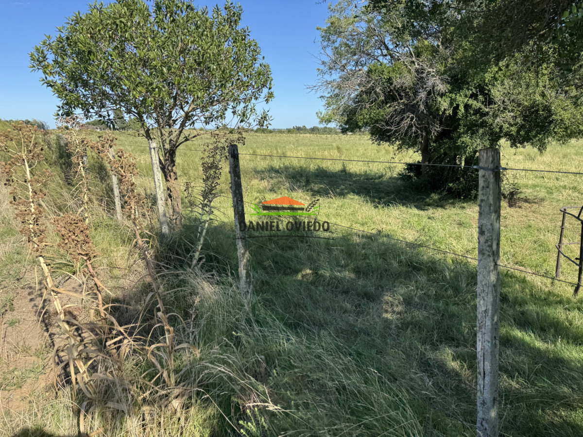 Chacra ID.344/Chacra-de-5,5-hect - Chacra de 5,5 hectáreas con agua en Cufré - Departamento de Colonia