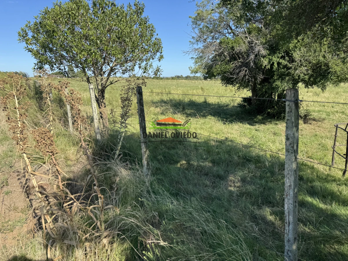 Chacra ID.344/Chacra-de-5,5-hect - Chacra de 5,5 hectáreas con agua en Cufré - Departamento de Colonia