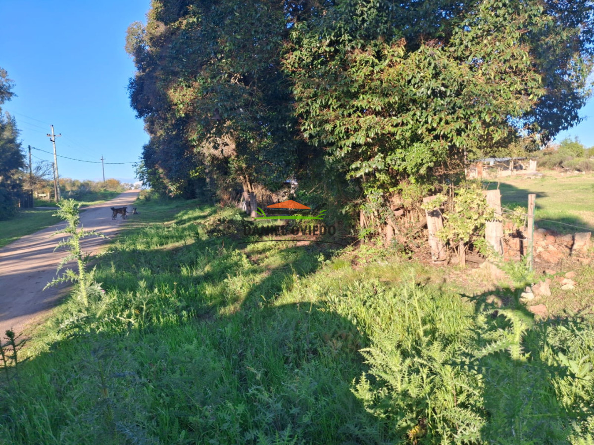 Chacra ID.423/🌿- - 🌿 ¡TU REFUGIO DE TRANQUILIDAD EN CARMELO! 🏡✨