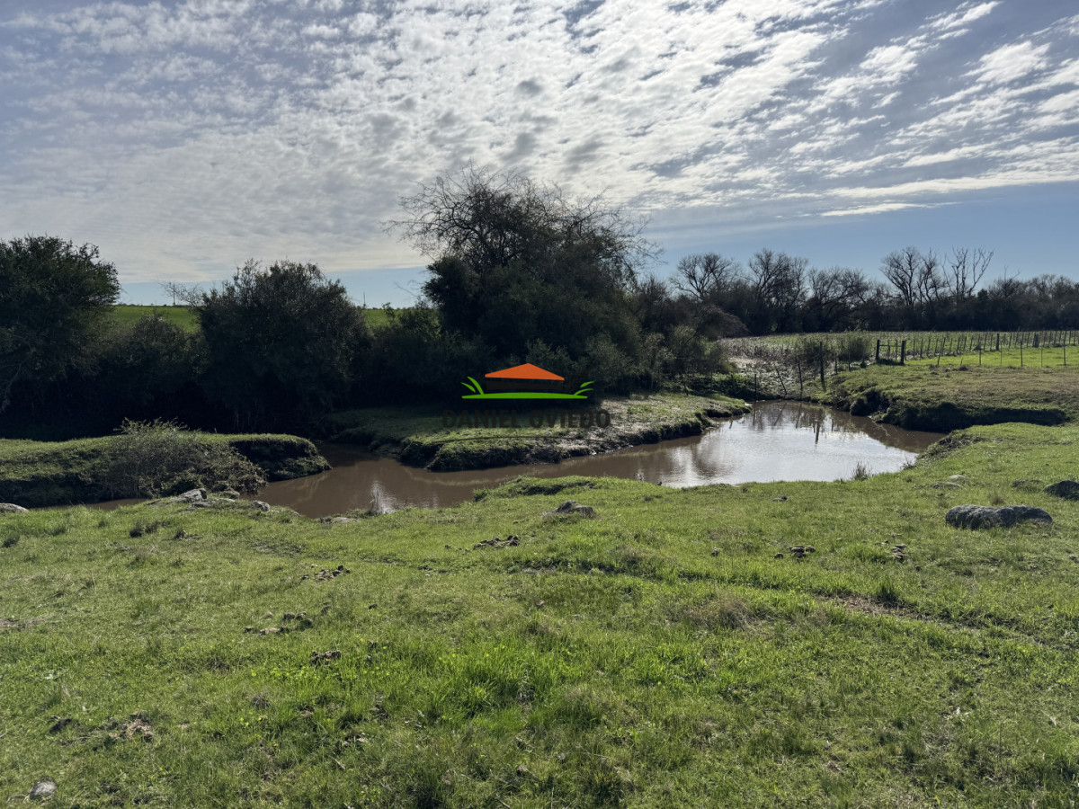 Chacra ID.403/Chacra-de-5,2-hect - Chacra de 5,2 hectáreas en venta próxima a Rosario - Colonia