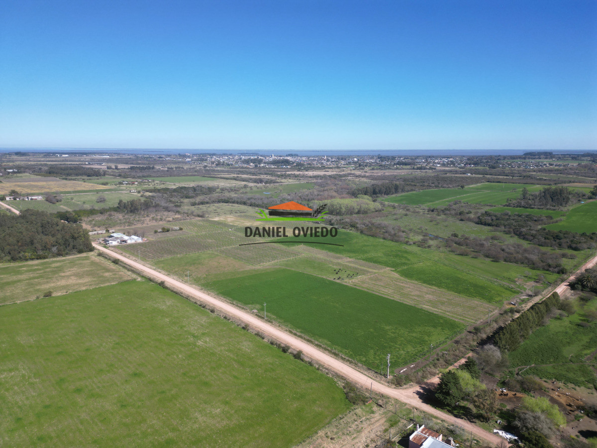 Chacra ID.255/Excelente-oportunidad-antigua-Bodega-y-viñedos-en-venta-en-Carmelo. - Excelente oportunidad antigua Bodega y viñedos en venta en Carmelo.