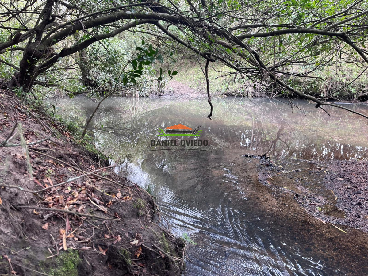 Chacra ID.311/Chacra-en-venta-con-costa-de-arroyo-en-sierras-de-Garz - Chacra en venta con costa de arroyo en sierras de Garzón.