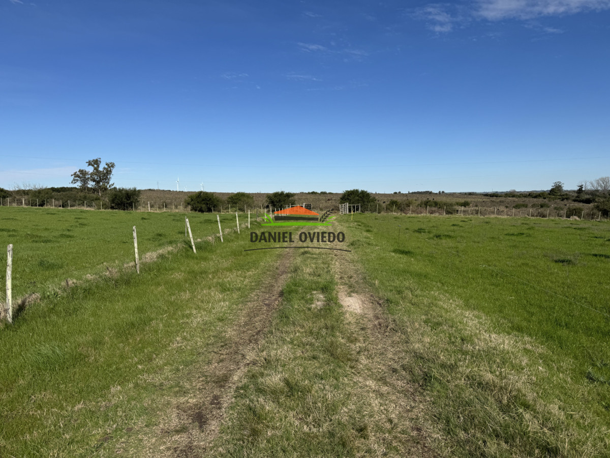 Chacra ID.403/Chacra-de-5,2-hect - Chacra de 5,2 hectáreas en venta próxima a Rosario - Colonia