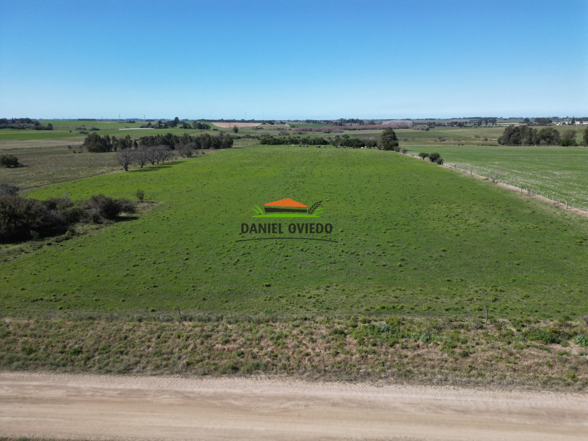 Chacra ID.133 - Muy buena ubicación chacra en venta en una de las mejores zonas de Nueva Helvecia.