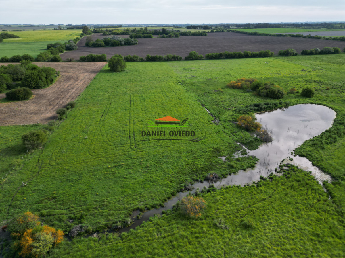 Chacra ID.283/Chacra-en-venta-sobre-Ruta-1-km-117---Inmejorable-ubicación - Chacra en venta sobre Ruta 1 km 117 - Inmejorable ubicación