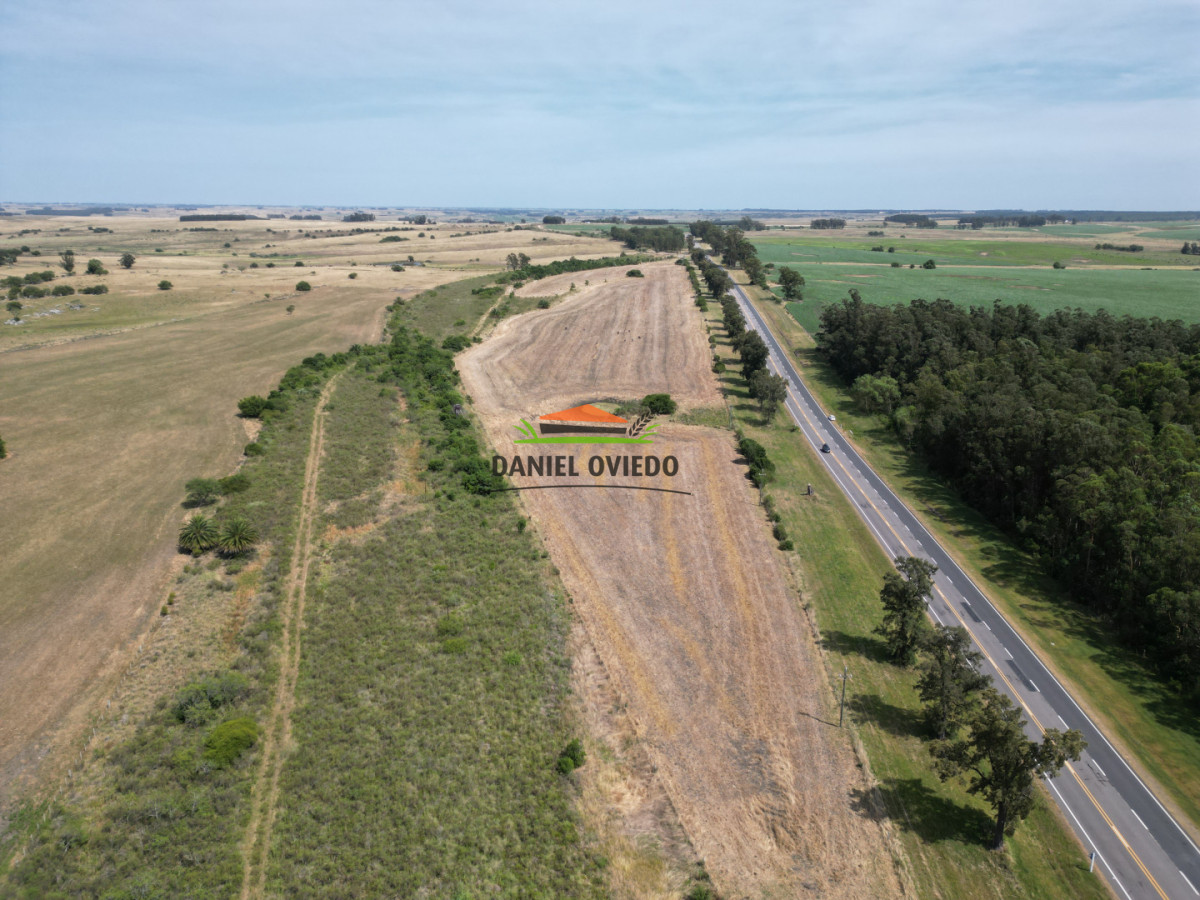 Chacra ID.337/Chacra-de-8-h - Chacra de 8 hás sobre Ruta 23 - San José