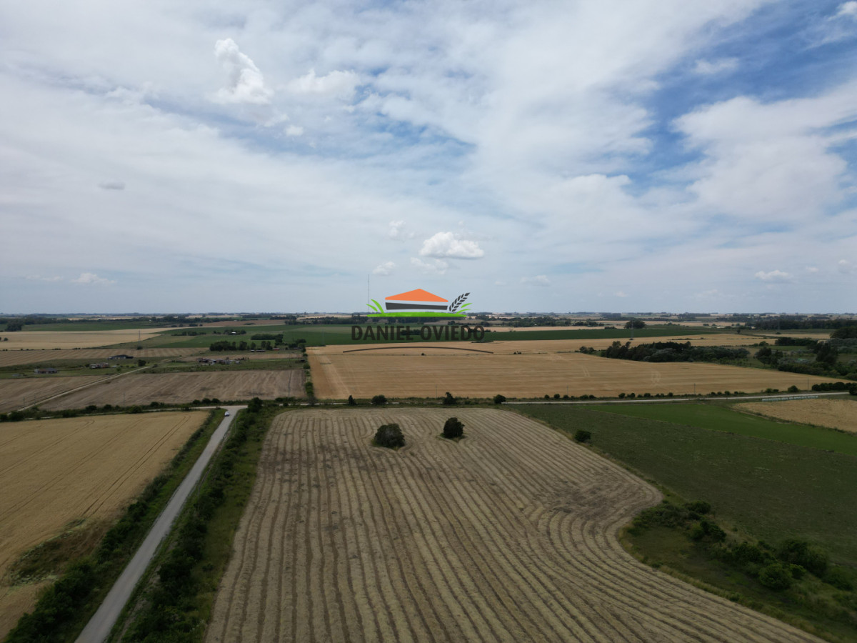 Chacra ID.328/Chacra-de-5-h - Chacra de 5 hás con vista al río en venta en San Pedro.