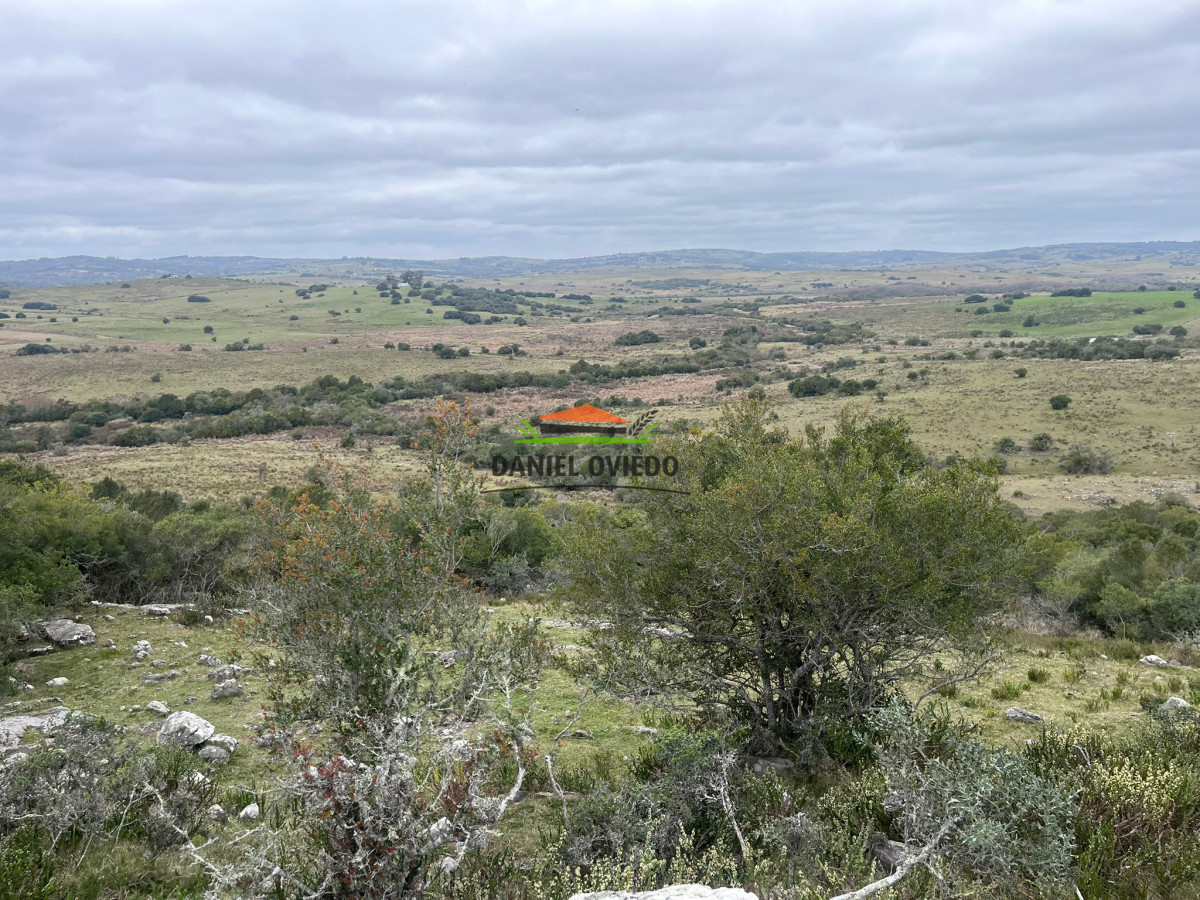 Chacra ID.310/Gran-oportunidad-chacra-en-venta-en-sierras-de-Garz - Gran oportunidad chacra en venta en sierras de Garzón.