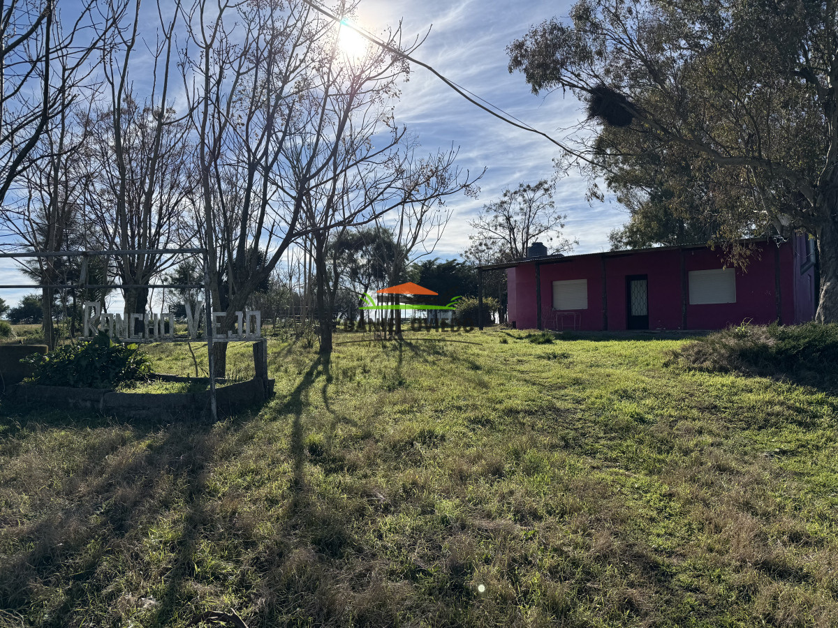 Chacra ID.251/Oportunidad-Chacra-30-Has-en-Soriano-con-Casa,-Galpón-y-Mejoras - Oportunidad Chacra 30 Has en Soriano con Casa, Galpón y Mejoras
