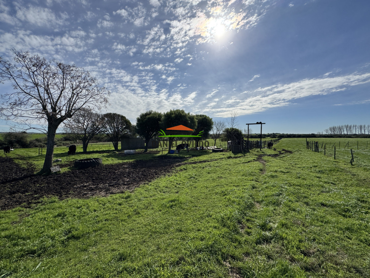 Chacra ID.403/Chacra-de-5,2-hect - Chacra de 5,2 hectáreas en venta próxima a Rosario - Colonia