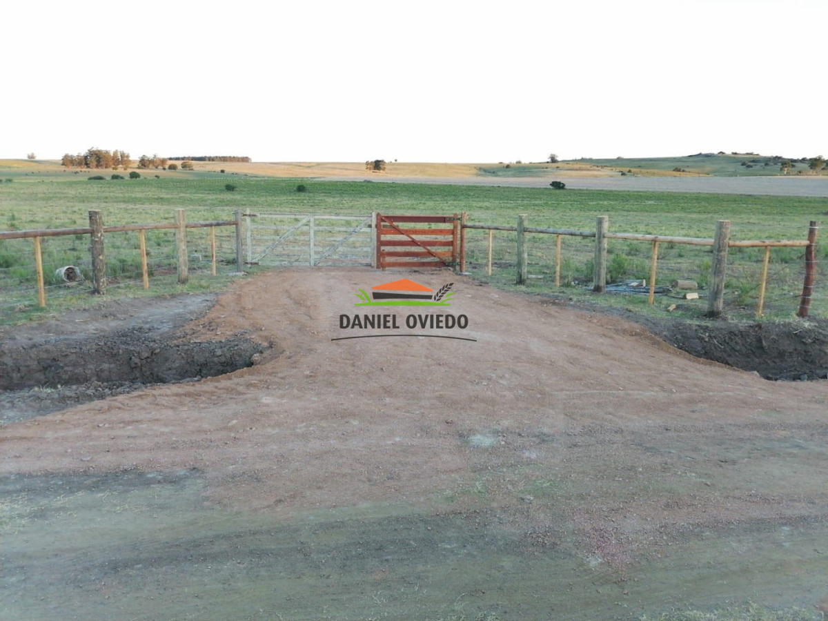 Chacra ID.353/Gran-oportunidad-chacra-en-venta-pr - Gran oportunidad chacra en venta próxima Pan de Azucar y ruta 9.