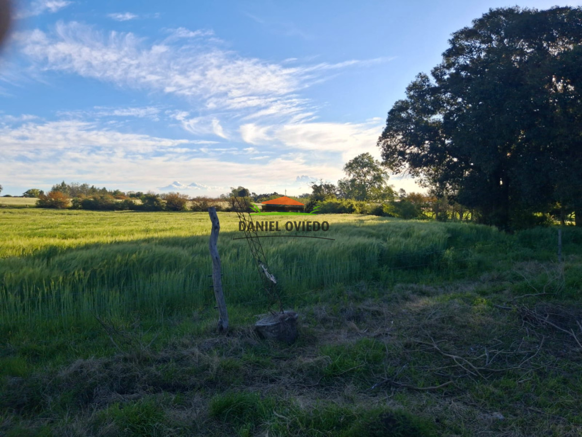 Chacra ID.423/🌿- - 🌿 ¡TU REFUGIO DE TRANQUILIDAD EN CARMELO! 🏡✨