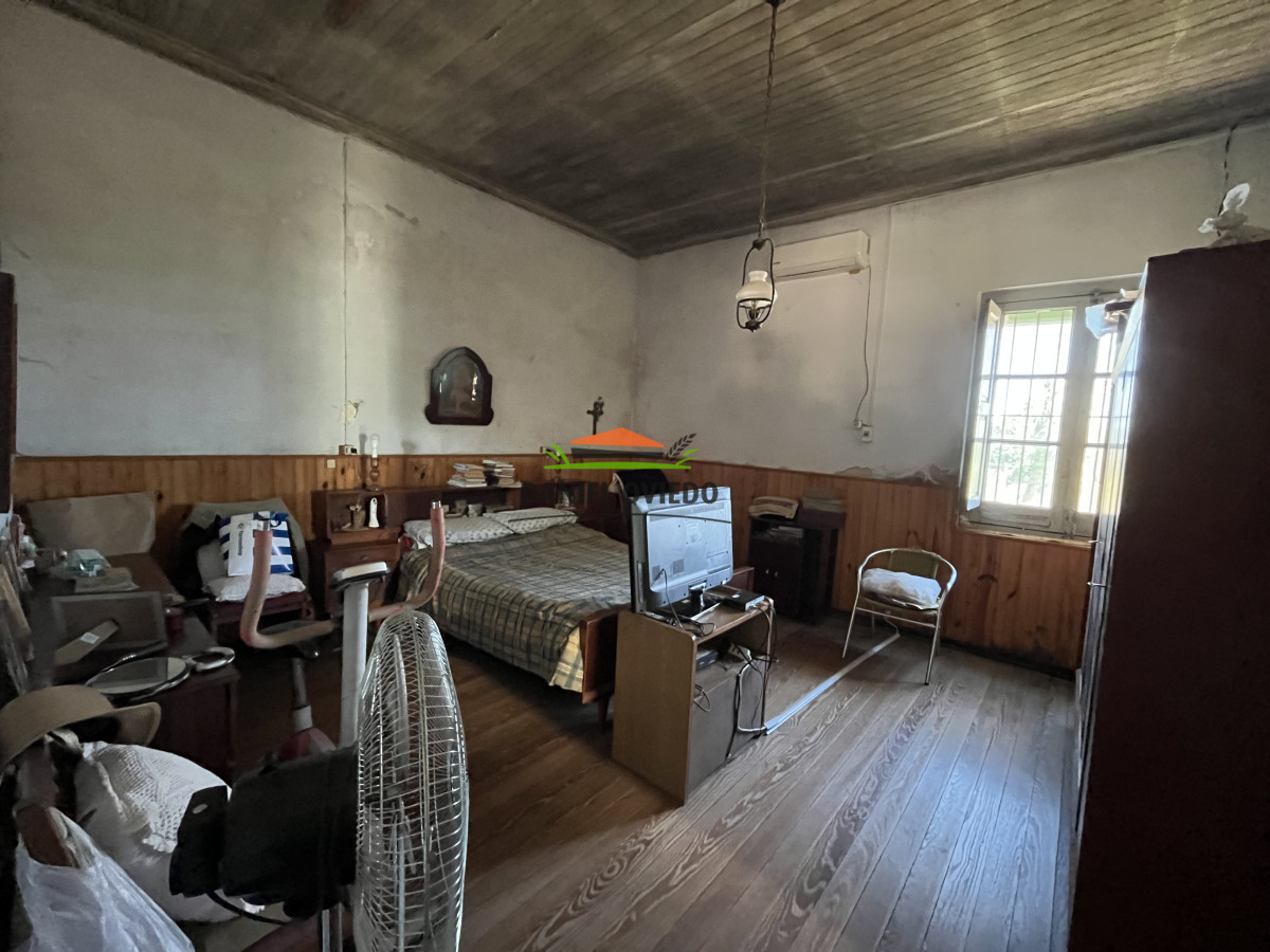 Chacra ID.255/Excelente-oportunidad-antigua-Bodega-y-viñedos-en-venta-en-Carmelo. - Excelente oportunidad antigua Bodega y viñedos en venta en Carmelo.