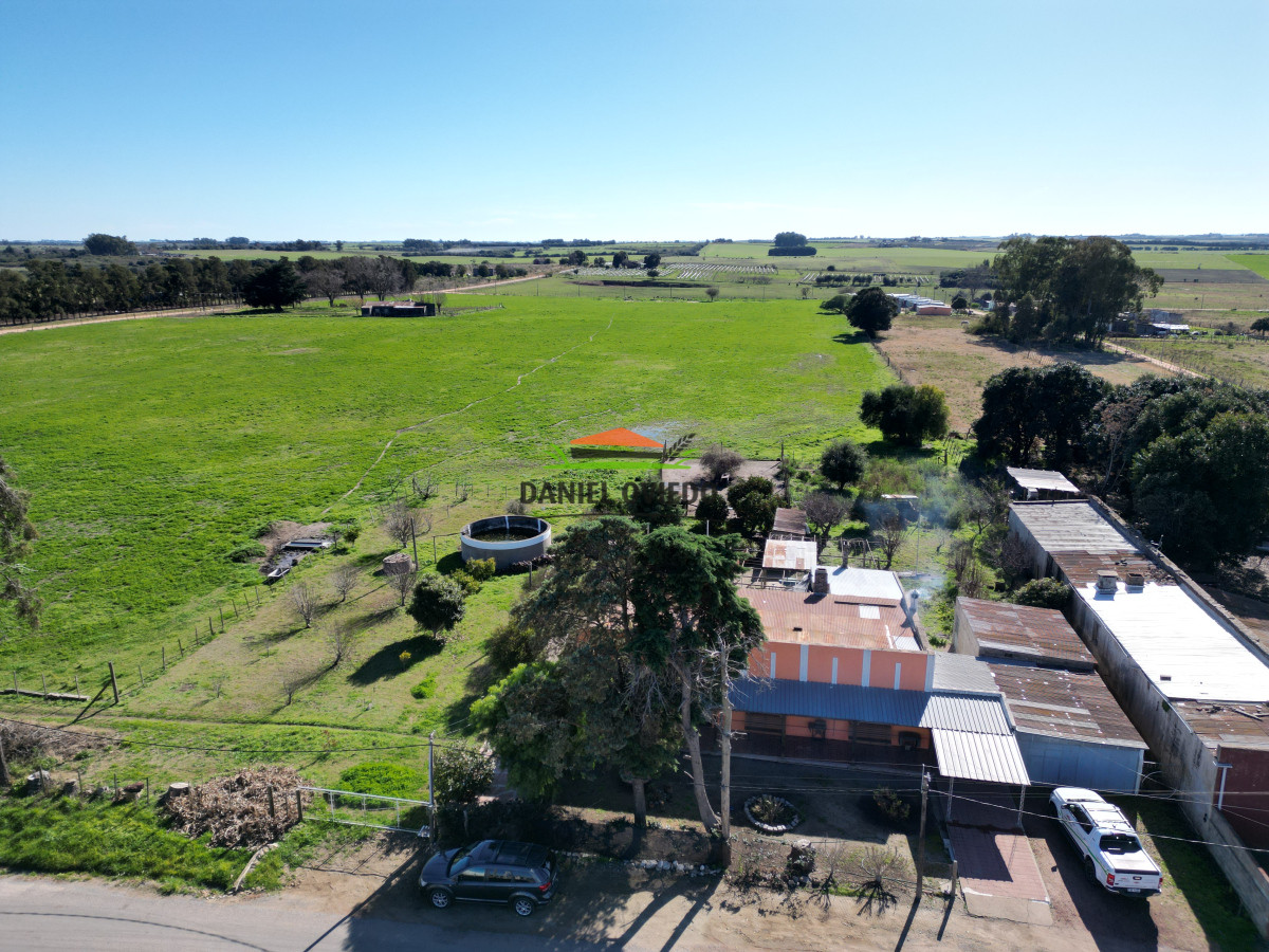 Chacra ID.240/Excelente-chacra-en-venta-con-3-casas-ubicada-a-5-km-de-Carmelo. - Excelente chacra en venta con 3 casas ubicada a 5 km de Carmelo.