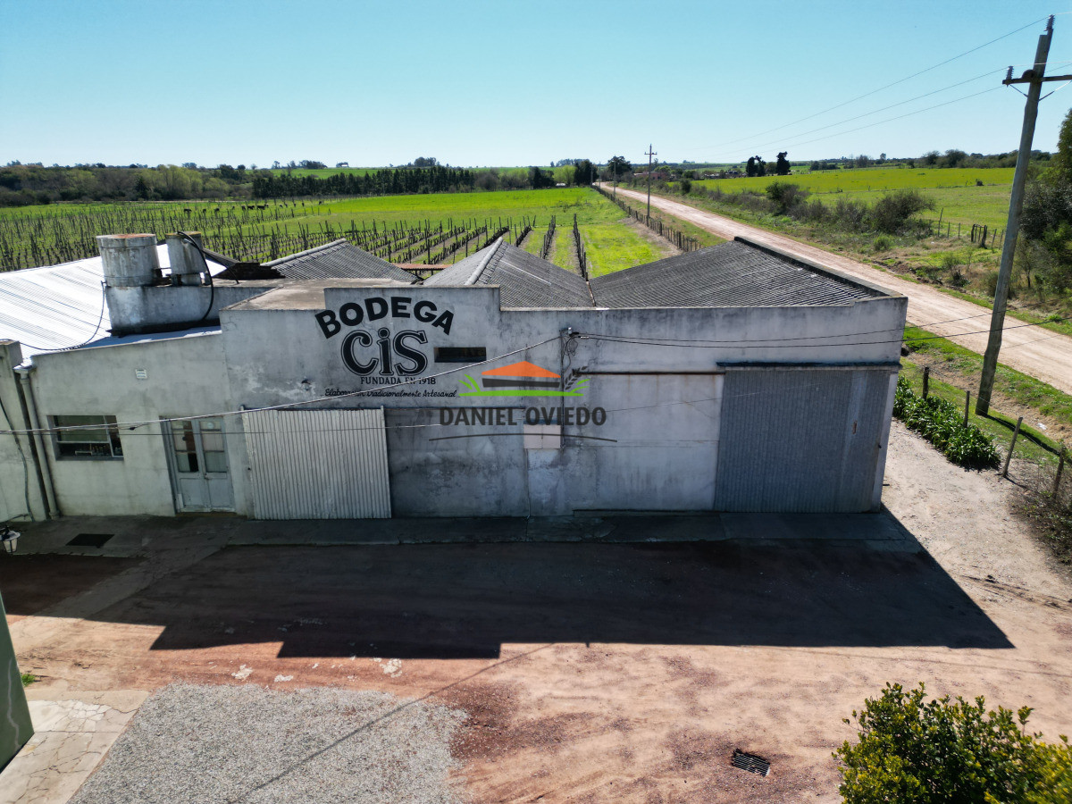 Chacra ID.255/Excelente-oportunidad-antigua-Bodega-y-viñedos-en-venta-en-Carmelo. - Excelente oportunidad antigua Bodega y viñedos en venta en Carmelo.