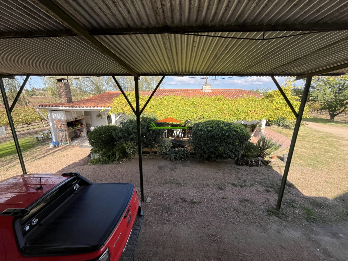 Chacra ID.425/Venta--de-Bodega,-Vi - Venta  de Bodega, Viñedo 11 Has y casas, en Toledo Chico.