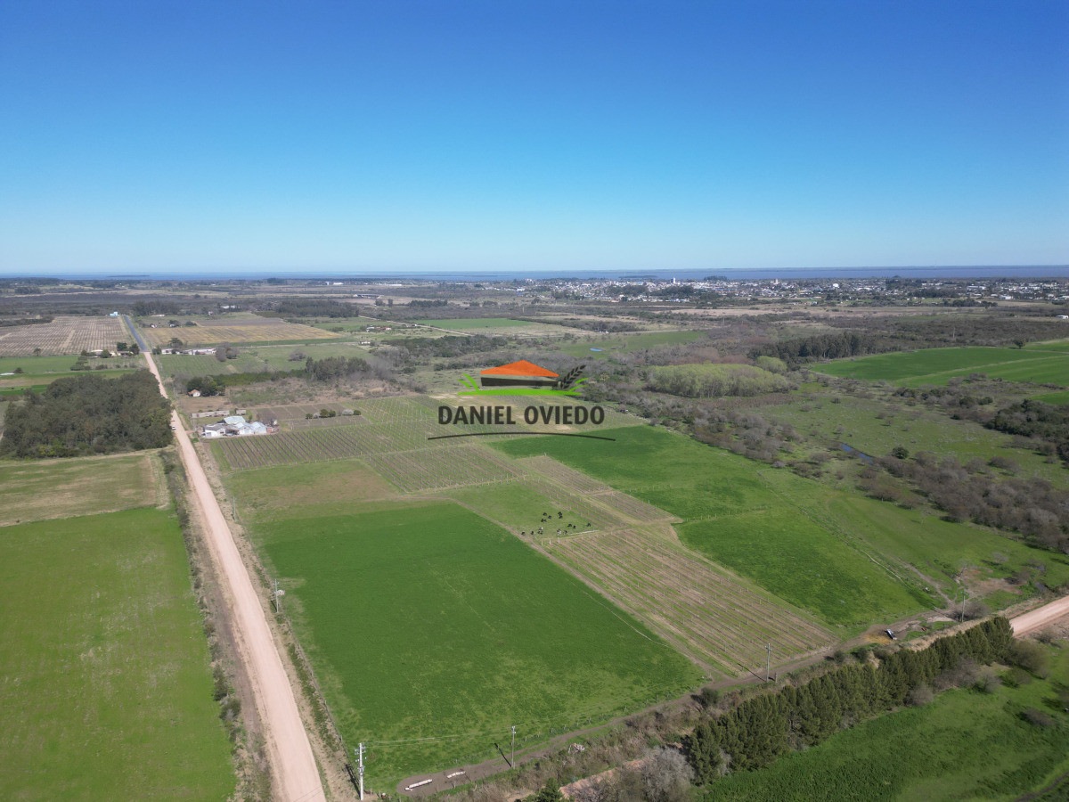 Chacra ID.255/Excelente-oportunidad-antigua-Bodega-y-viñedos-en-venta-en-Carmelo. - Excelente oportunidad antigua Bodega y viñedos en venta en Carmelo.