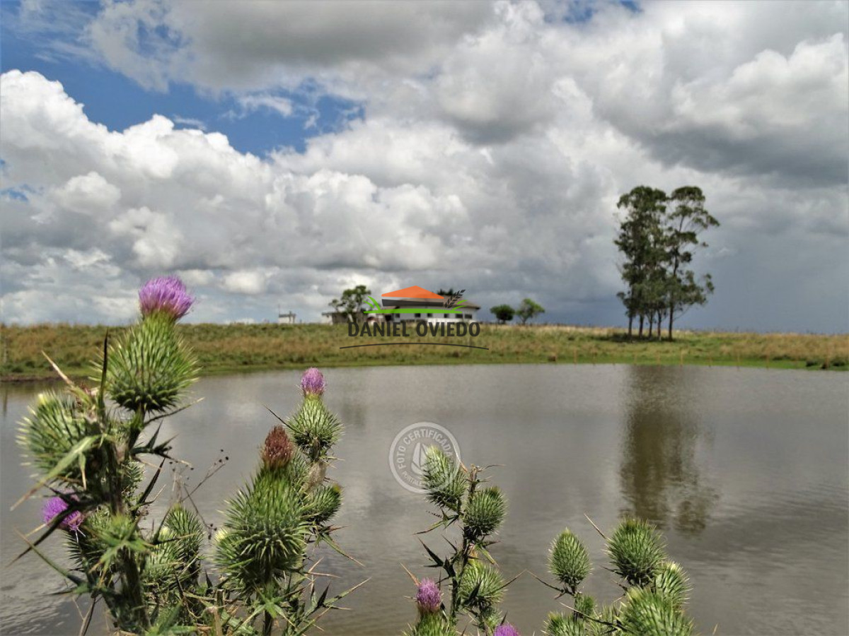 Chacra ID.177 - Excelente Chacra en venta con casa de campo en Carapé.