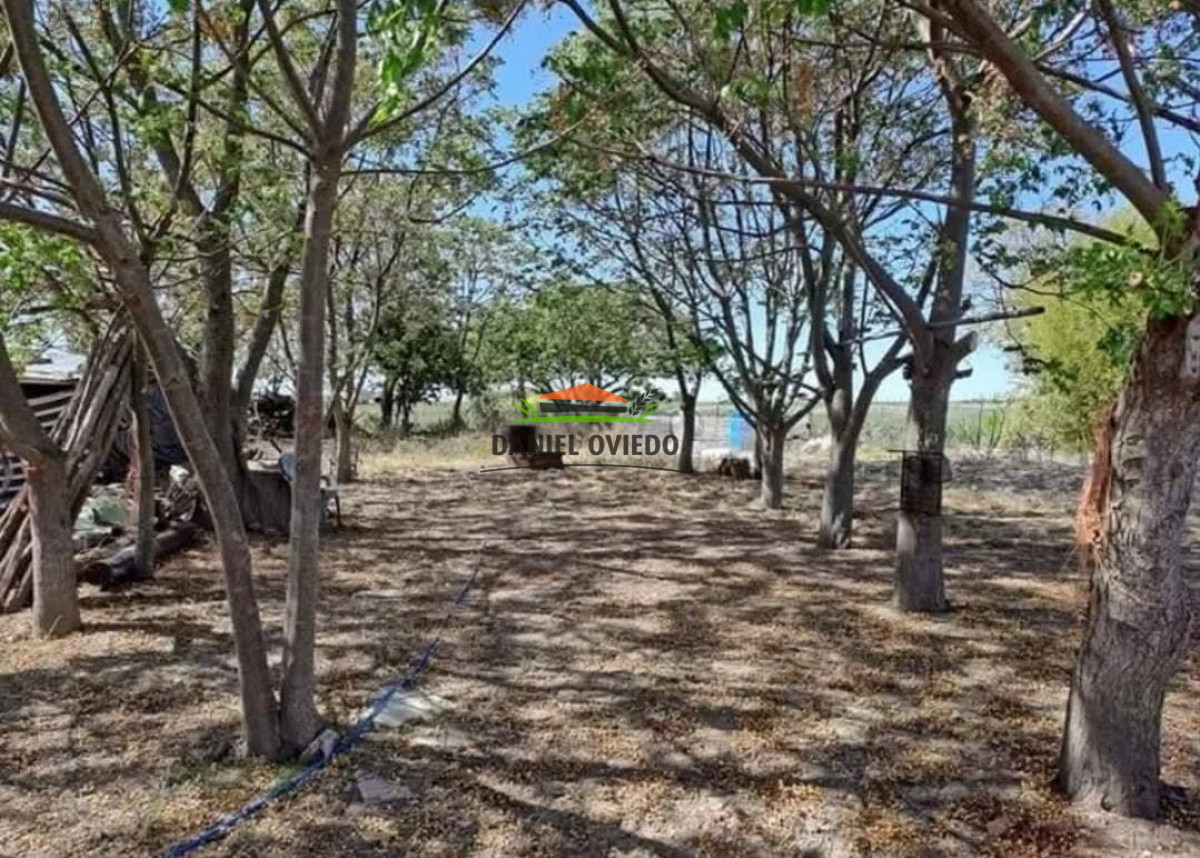 Chacra ID.202 - Hermosa chacra con 2 casas, arroyo y tierras muy productivas.
