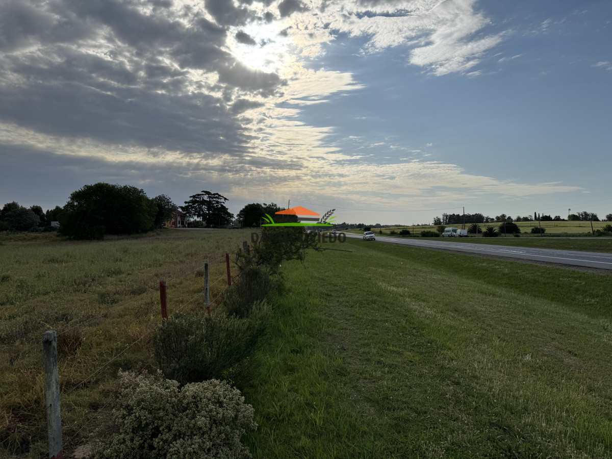 Chacra ID.283/Chacra-en-venta-sobre-Ruta-1-km-117---Inmejorable-ubicación - Chacra en venta sobre Ruta 1 km 117 - Inmejorable ubicación