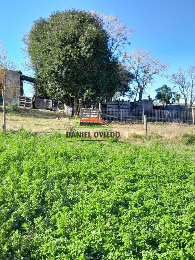 Chacra ID.385/Chacra-de-5-hect - Chacra de 5 hectáreas con casa y excelente ubicación cerca de Santa Regina