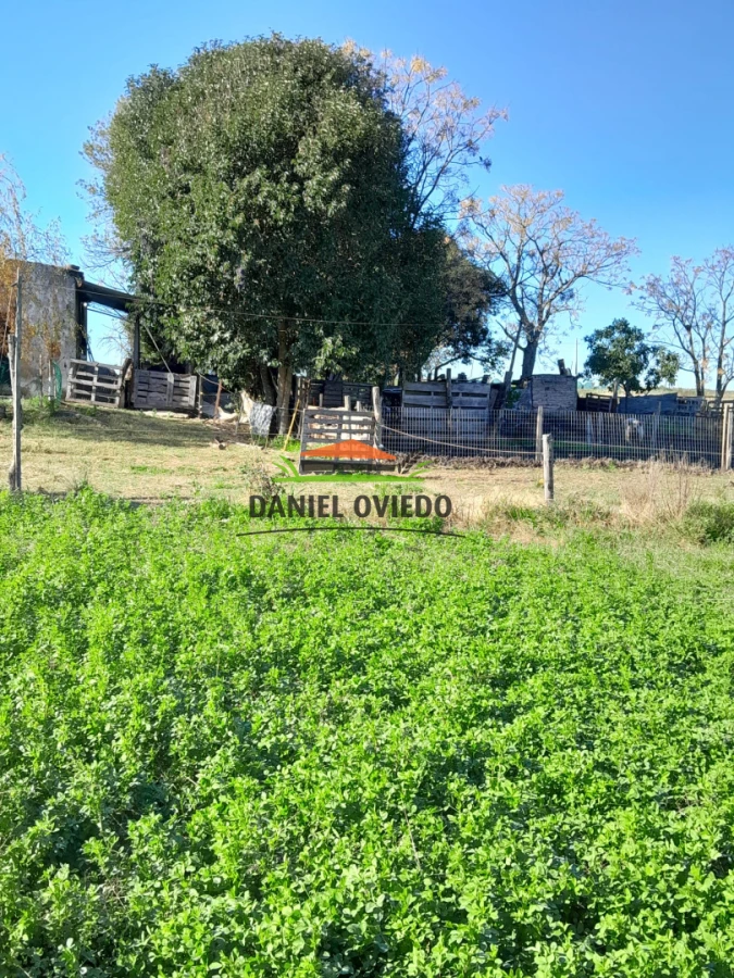 Chacra ID.385/Chacra-de-5-hect - Chacra de 5 hectáreas con casa y excelente ubicación cerca de Santa Regina