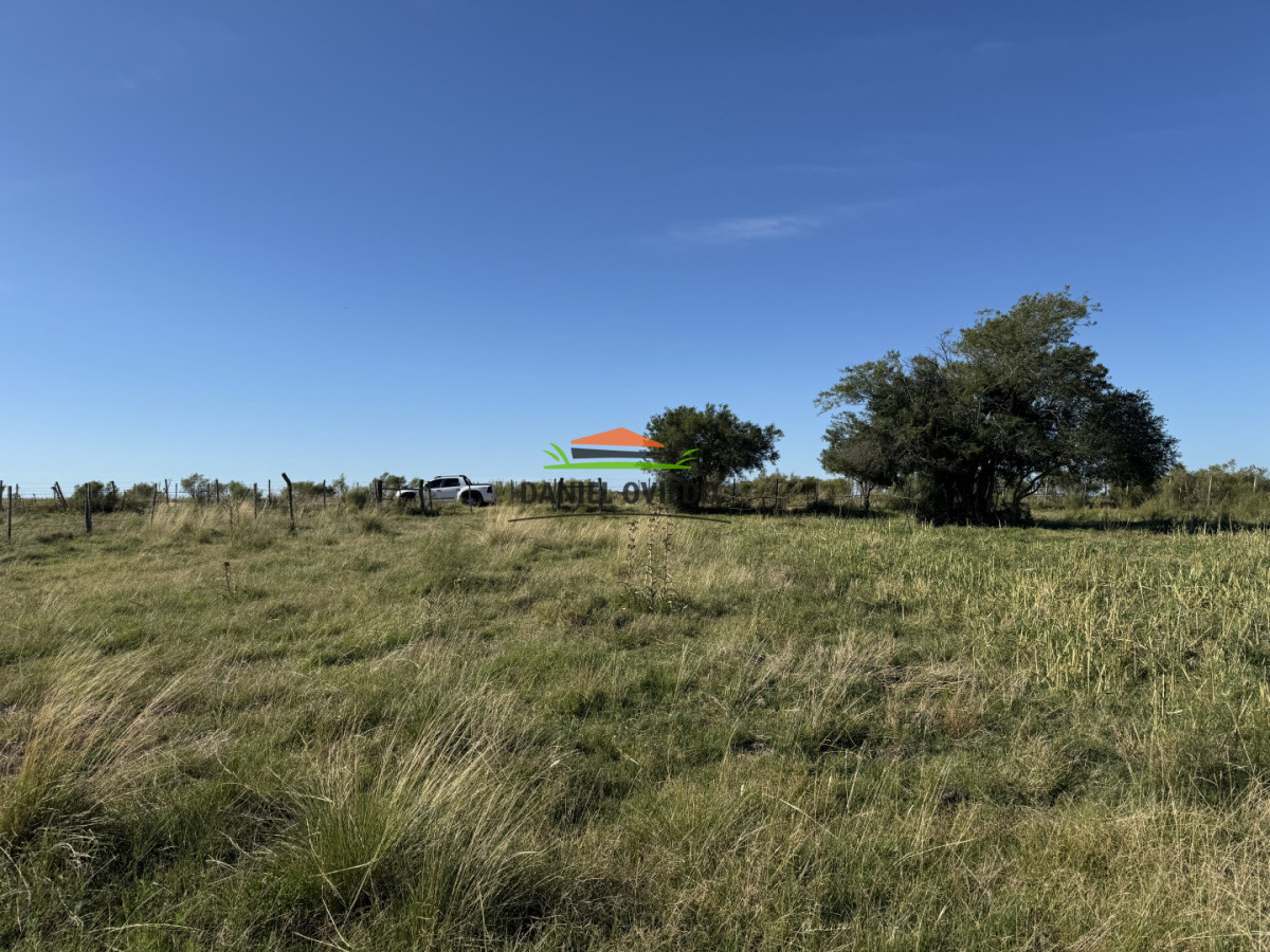 Chacra ID.344/Chacra-de-5,5-hect - Chacra de 5,5 hectáreas con agua en Cufré - Departamento de Colonia