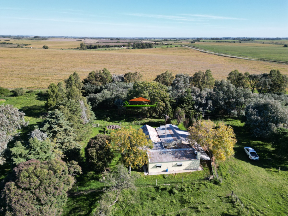 Chacra ID.382/Chacra-ideal-para-vivir-y-disfrutar-de-la-naturaleza-con-casa,-olivos-y-5-has-en-venta,-Carmelo. - Chacra ideal para vivir y disfrutar de la naturaleza con casa, olivos y 5 has en venta, Carmelo.