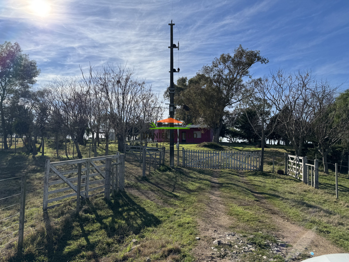 Chacra ID.251/Oportunidad-Chacra-30-Has-en-Soriano-con-Casa,-Galpón-y-Mejoras - Oportunidad Chacra 30 Has en Soriano con Casa, Galpón y Mejoras