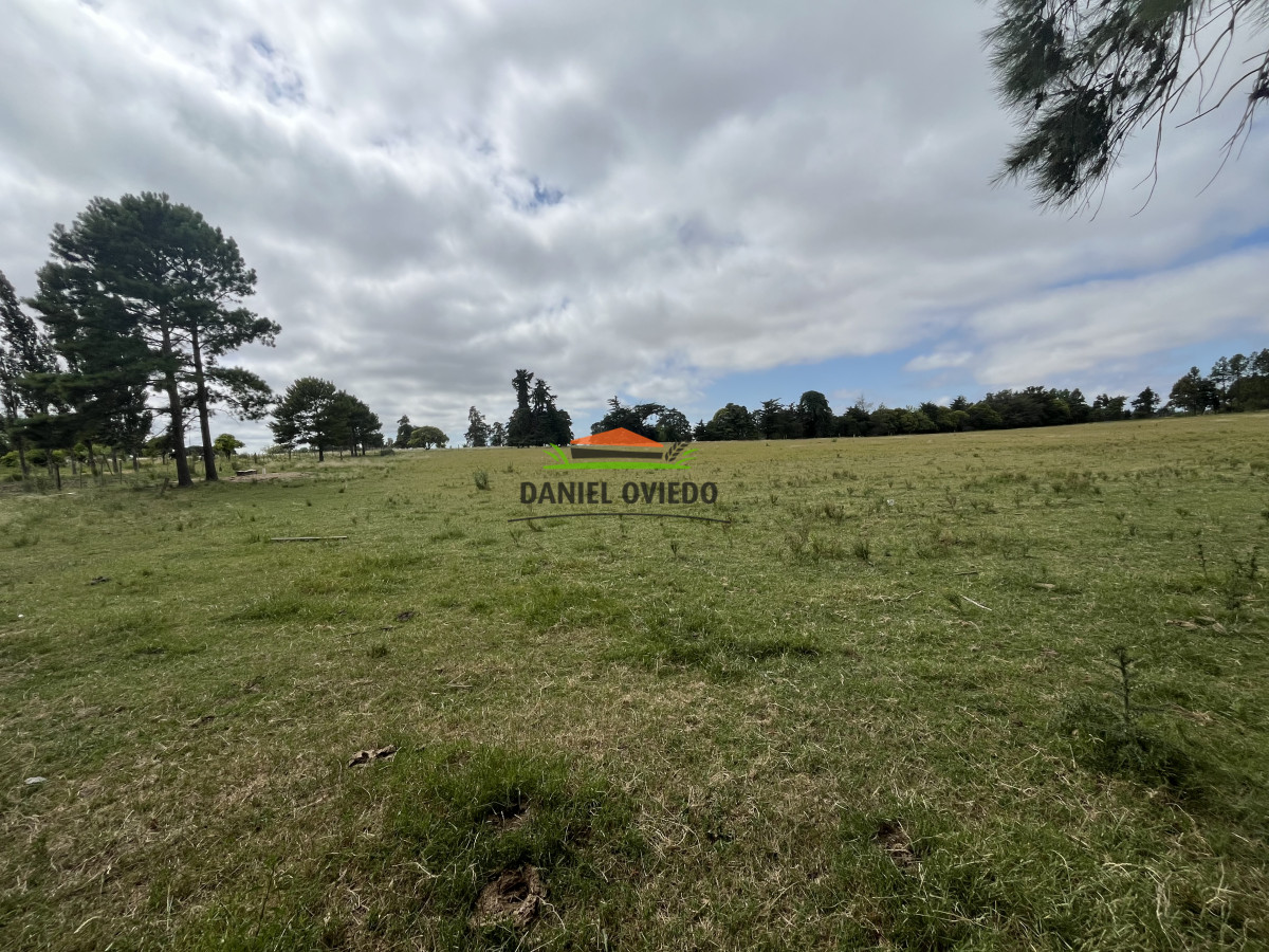 Chacra ID.315/Chacra-de-8,5-has-sobre-Ruta-51---Camino-a-Playa-Fomento,-Excelente-Punto - Chacra de 8,5 has sobre Ruta 51 - Camino a Playa Fomento, Excelente Punto