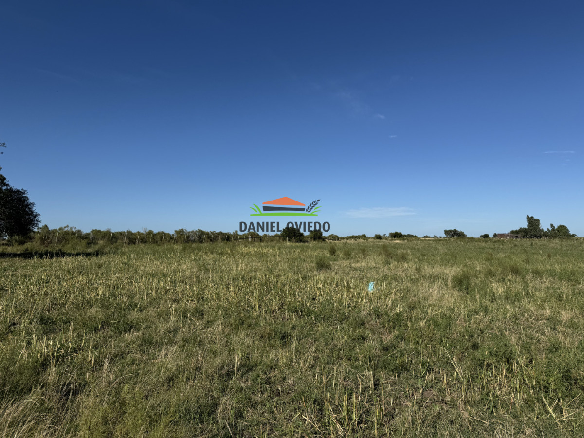 Chacra ID.344/Chacra-de-5,5-hect - Chacra de 5,5 hectáreas con agua en Cufré - Departamento de Colonia