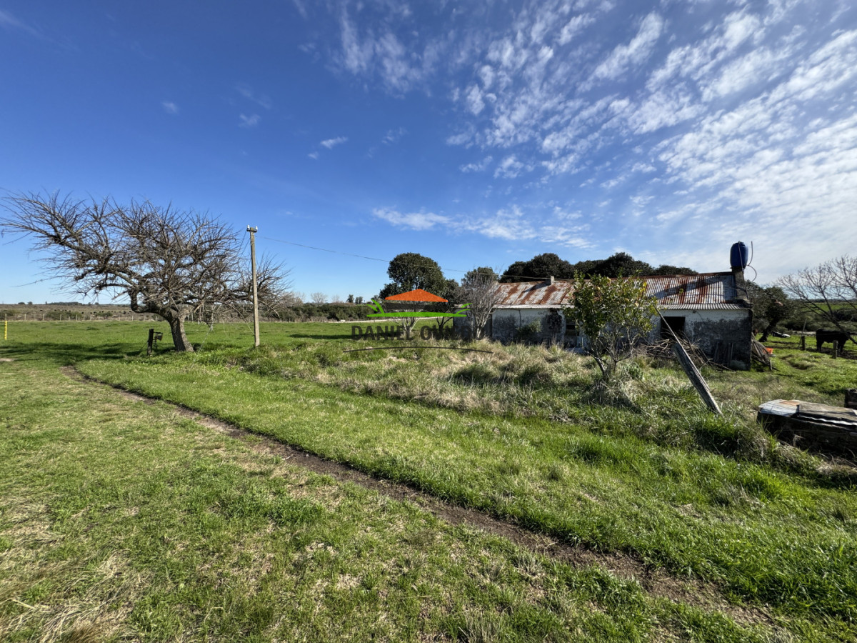Chacra ID.403/Chacra-de-5,2-hect - Chacra de 5,2 hectáreas en venta próxima a Rosario - Colonia