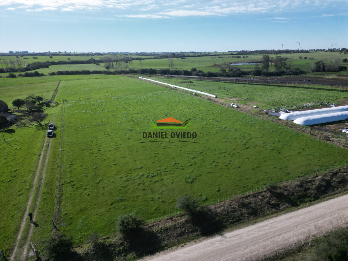 Chacra ID.403/Chacra-de-5,2-hect - Chacra de 5,2 hectáreas en venta próxima a Rosario - Colonia