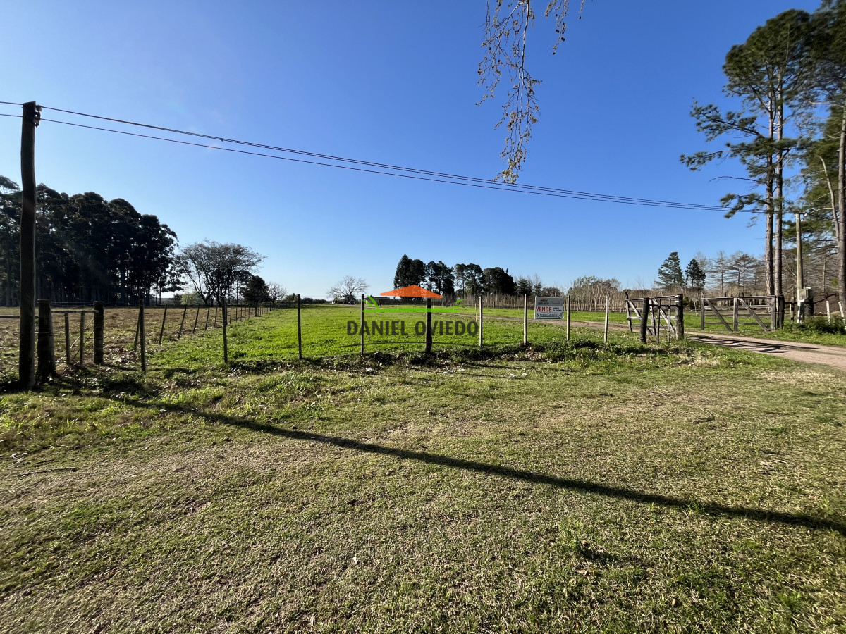 Chacra ID.138 - Chacra en venta en la entrada de Carmelo, pegada a importantes viveros de la zona.