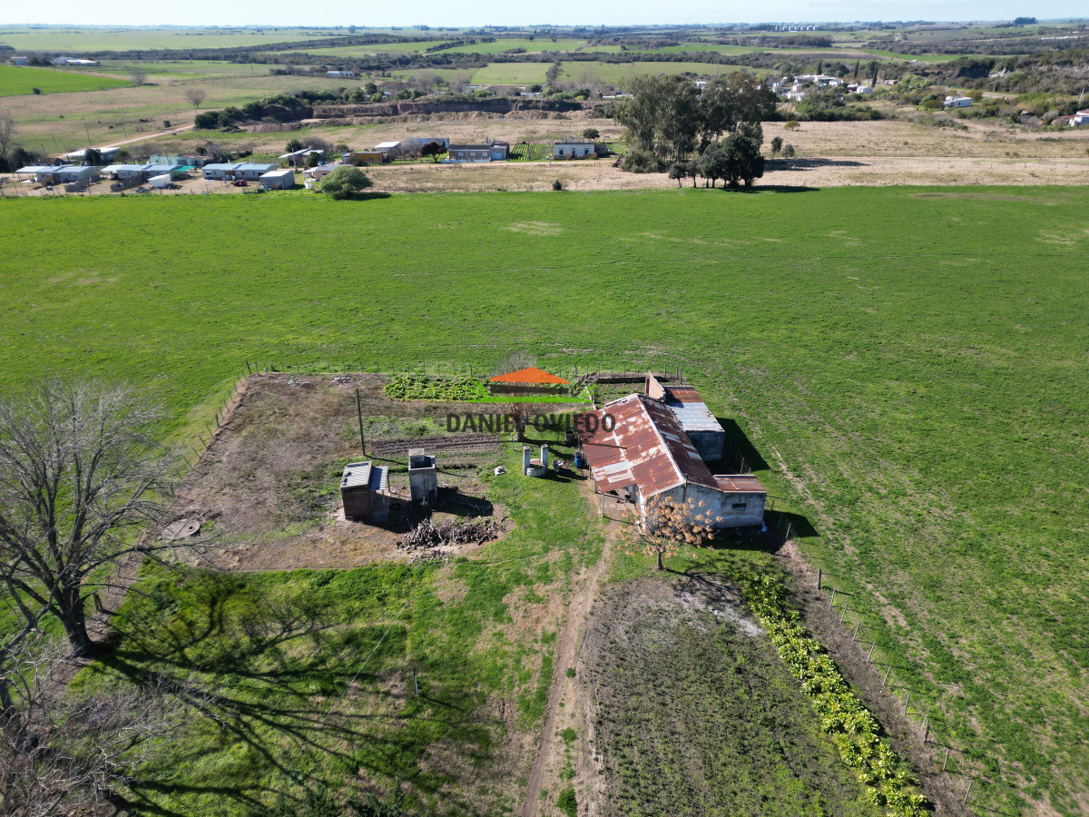 Chacra ID.240/Excelente-chacra-en-venta-con-3-casas-ubicada-a-5-km-de-Carmelo. - Excelente chacra en venta con 3 casas ubicada a 5 km de Carmelo.