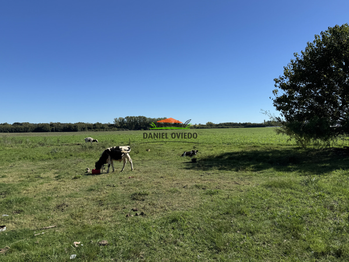 Chacra ID.403/Chacra-de-5,2-hect - Chacra de 5,2 hectáreas en venta próxima a Rosario - Colonia