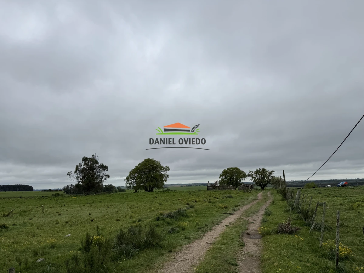 Chacra ID.282/Inmejorable-punto-sobre-Ruta-23---Chacra-lista-para-desarrollar - Inmejorable punto sobre Ruta 23 - Chacra lista para desarrollar