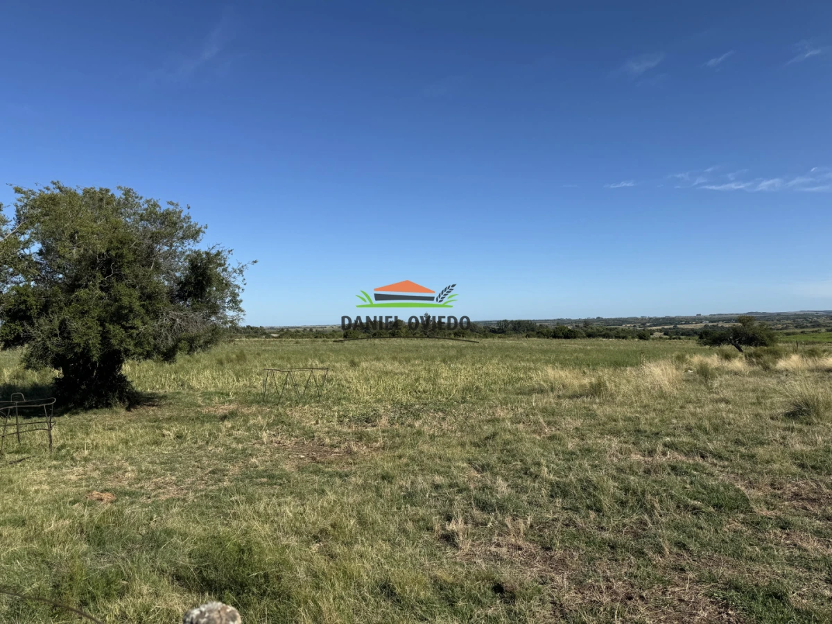 Chacra ID.344/Chacra-de-5,5-hect - Chacra de 5,5 hectáreas con agua en Cufré - Departamento de Colonia